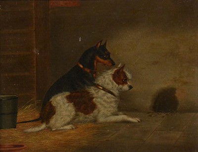 Lot 247 - Follower of George Armfield, Two dogs ratting