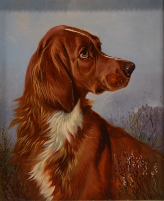 Lot 248 - Colin Graeme Roe, Retrievers, a pair of studies
