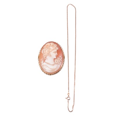 Lot 185A - A carved shell cameo brooch and a gold chain.