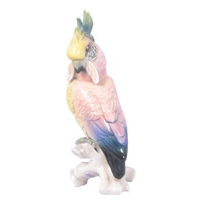 Lot 15 - Karl Ens - a porcelain cockatoo.
