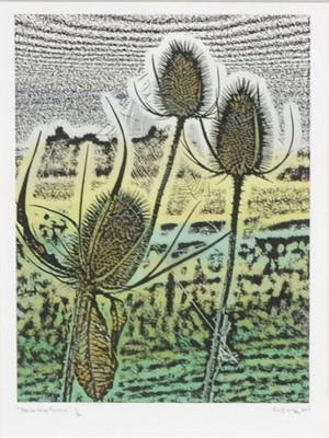 Lot 361 - G & B McKay, Brede Valley Thistles, print and woodblock after Hilary Paynter