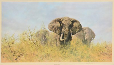 Lot 370 - David Shepherd, Three happy jumbos