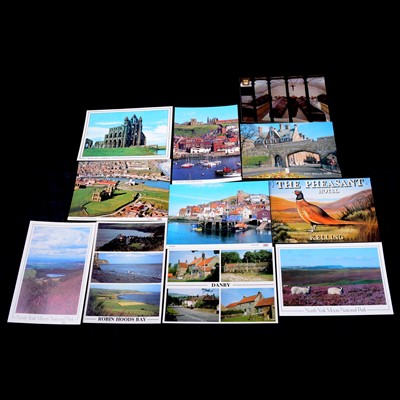 Lot 205 - Collection of modern postcards.