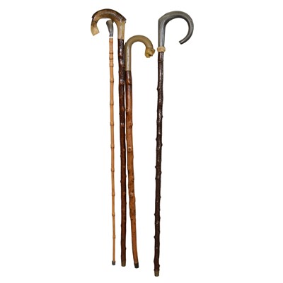 Lot 227 - Four horn handled walking sticks