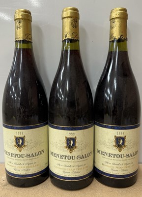 Lot 40 - Eight assorted red wines - Loire Valley