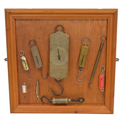 Lot 135 - Display board mounted with various spring balances
