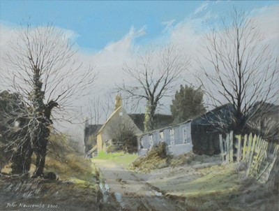 Lot 42 - Peter Newcombe (b. 1943-)