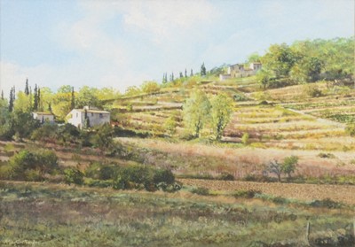 Lot 314 - Martin Taylor, two watercolours