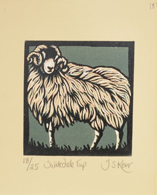 Lot 45 - Jill S Kerr (20th/21st century)