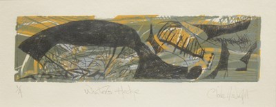 Lot 37 - Claire Morris-Wright (20th/ 21st century)