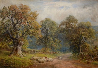 Lot 307 - George Turner, Denbighshire woodland