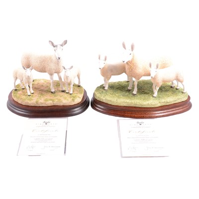 Lot 20 - Border Fine Arts - 'Blue Faced Leicester Ewe and Lambs' and 'Border Leicester Ewe & Lambs'