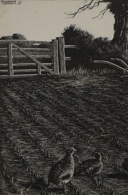 Lot 282 - Denys Watkins-Pitchford, Partridge