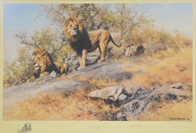 Lot 385 - David Shepherd, Two Gentleman of Savuti