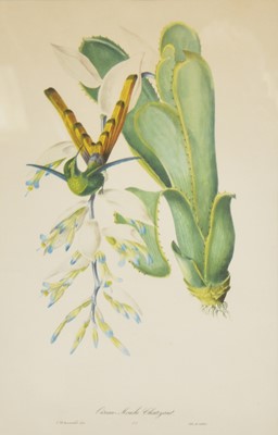 Lot 373 - After Jean Théodore Descourtiliz, six prints and six others