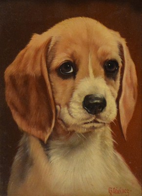 Lot 338 - Gustave Lorincz, Beagle pup