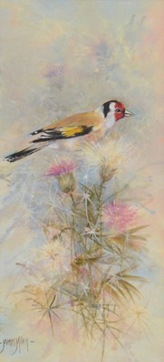 Lot 364 - James Allen, Goldfinch and pheasant, two watercolour