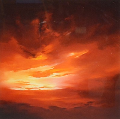 Lot 393 - Richard Rowan, Intensity I
