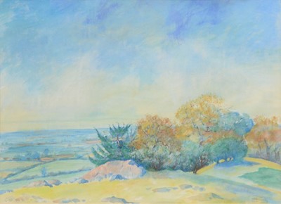 Lot 299 - Janice King, At the Top, Croft Hill