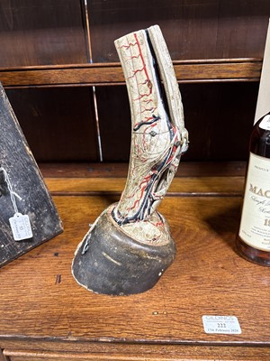 Lot 53 - French papier mâché anatomical model of a horse's foot, Maison Auzoux