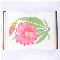 Lot 300 - Joseph Paxton, The Magazine of Botany and...