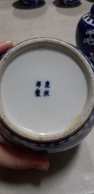 Lot 53 - Collection of Chinese blue and white ginger jars and covers
