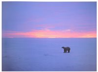 Lot 326 - Thomas D Magnelsen (photographs), Fred...