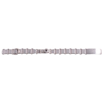 Lot 116 - Victorian silver dog collar