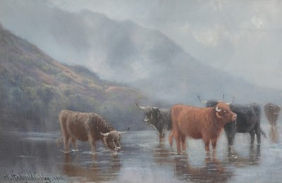 Lot 434 - H Hardfield Cubley, Highland Cattle, a pair