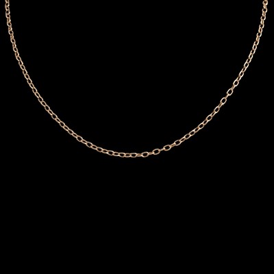 Lot 302 - A 9 carat yellow gold chain necklace in two parts.