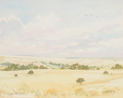 Lot 406 - Three assorted watercolours and a print