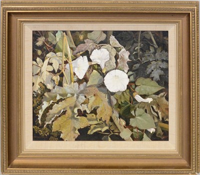 Lot 414 - Peter Newcombe, Convolvulus