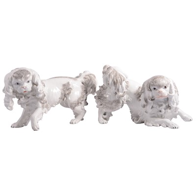 Lot 17 - Carl Thieme, Potschappel, a large pair of porcelain Bolognese Terriers