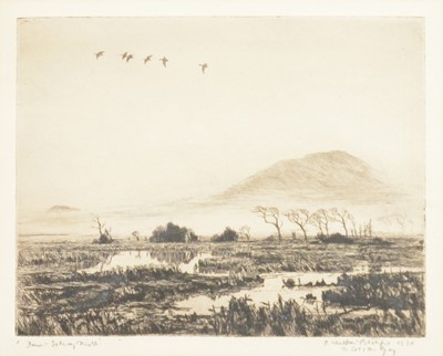 Lot 167 - Denys Watkins-Pitchford, Solway Firth, Wild Fowling interest, three signed etchings.