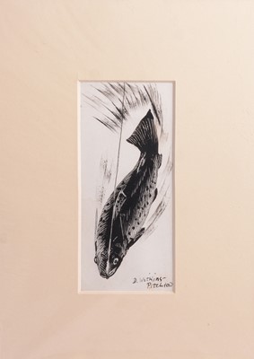 Lot 164 - Denys Watkins-Pitchford, Fish on a Line, an original signed scraperboard illustration.