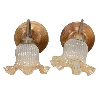 Lot 181 - Pair of wall lights with crinoline glass shades, and a mottled glass ceiling shade