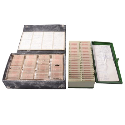 Lot 148 - A collection of Kodak Kodachrome picture slides