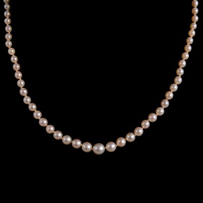 Lot 275 - Ciro - a string of cultured pearls.