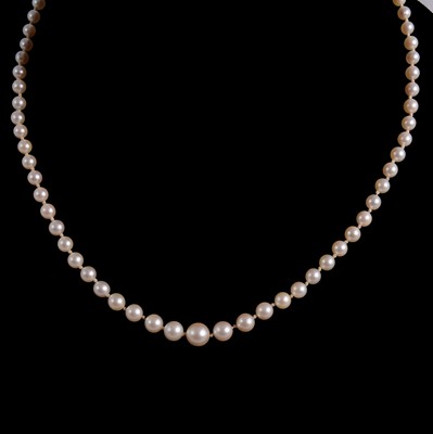 Lot 1146 - A cultured pearl necklace.