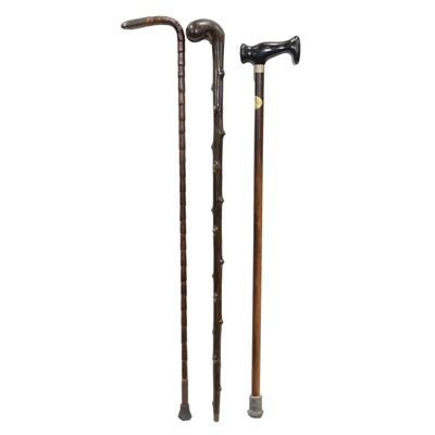 Lot 494 - Three walking sticks and a bamboo magazine rack