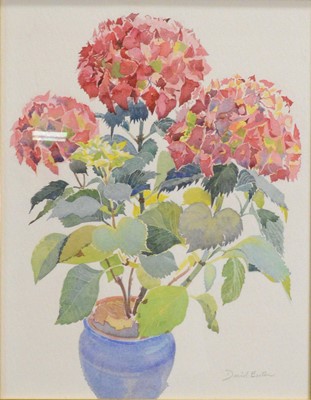 Lot 265 - David Easton, three floral studies