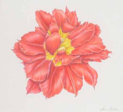 Lot 397 - Ann Swan, two botanical works