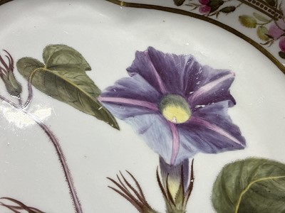 Lot 5 - Derby porcelain part dessert service