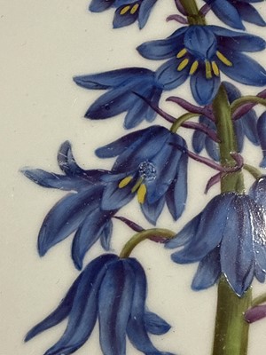 Lot 5 - Derby porcelain part dessert service