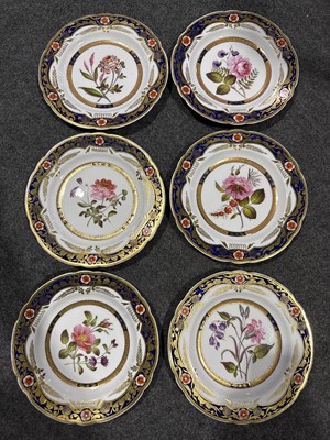 Lot 6 - Spode porcelain botanical dessert service