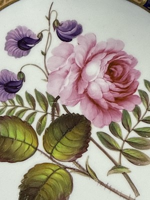 Lot 6 - Spode porcelain botanical dessert service
