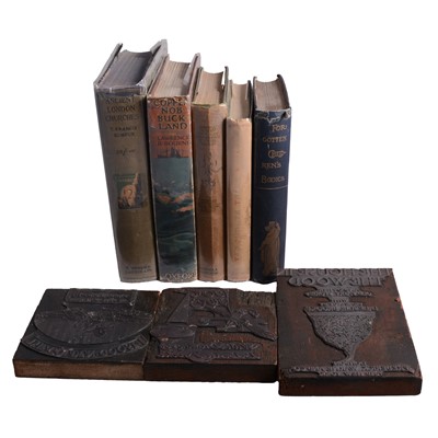 Lot 63 - Darwin, The Tale of Mr Tootleoo, other 19th Century books, printing blocks