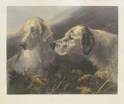 Lot 391 - Pratt after Heywood Hardy, Setters at Work
