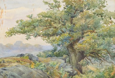 Lot 387 - W E Swann, Study of a tree, and a folio of other watercolours and drawings