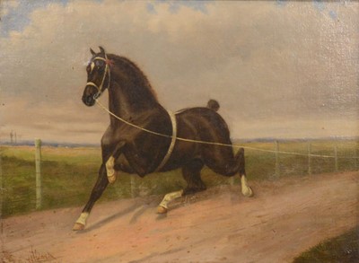 Lot 143 - Albert Clark (1821-1909), Cob at trot on the lunge and three others